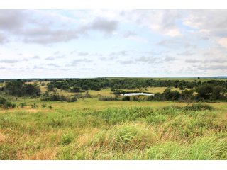 Property photo 40 - LAND AUCTION - 1,593+/- ACRES OFFERED IN 21 TRACTS IN OKMULGEE CO., OK